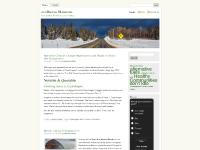  vehicle choice, copenhagen, limos, Winter Idling&nbsp;Testimonials!!