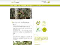 ECOFORESTS REVIEWS GOVERNMENT PENSIONS, Newsletters Nº 30, Newsletters Nº 31 ECOFORESTS REVIEWS GOVERNMENT PENSIONS, Newsletters Nº 30, Newsletters Nº 31