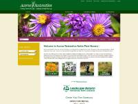 Ontario Native Plant Nursery - Acorus Restoration Ontario Native Plant Nursery - Acorus Restoration