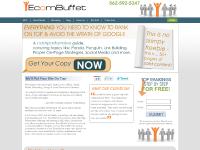 ecombuffet.com seo.seo company, search engine optimization, seo services