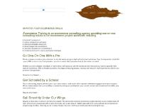 Ecommerce Training and Consulting