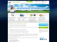Professional Ecommerce Solution | Ecommerce Website Design India