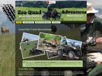 Website Designer Website Designer