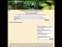 ecotourcompanies.com ECOTOUR COMPANIES : The Best Place to Find Ecotour & Ecotourism Companies Worldwide - EcotourCompanies.com ecotourcompanies.com ECOTOUR COMPANIES : The Best Place to Find Ecotour & Ecotourism Companies Worldwide - EcotourCompanies.com