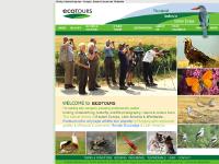 ASIA, MAMMALS, BUTTERFLIES, MOTHS ASIA, MAMMALS, BUTTERFLIES, MOTHS