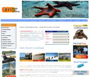  last minute trips, accomodations, flights, 