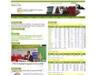 ecx.com.et Career, How ECX Works, Organizational Structure ecx.com.et Career, How ECX Works, Organizational Structure