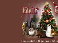 edels-gardens.com burmese, bengal, savannah edels-gardens.com burmese, bengal, savannah