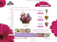  WINTER, BIRTHDAY, WINTER, OCCASIONS