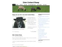 Wool Crafts, Woolfest, Uncategorized, Eden Gotland Sheep  Wool Crafts, Woolfest, Uncategorized, Eden Gotland Sheep