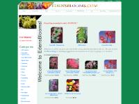 Agapanthus, Anemone, Arisaema, Clivia  Agapanthus, Anemone, Arisaema, Clivia