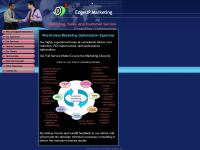 CRM Consulting Services from CRM Advisors CRM Consulting Services from CRM Advisors