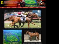WEIGHT NO PROBLEM FOR HOYLONNY, HOYLONNY SALUTES AGAIN FOR JIMMY, BETTER THAN READY ON THE CHARGE, VALUABLE BLACK TYPE WIN FOR MISS MARX  WEIGHT NO PROBLEM FOR HOYLONNY, HOYLONNY SALUTES AGAIN FOR JIMMY, BETTER THAN READY ON THE CHARGE, VALUABLE BLACK TYPE WIN FOR MISS MARX