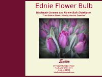 Ednie Flower Bulb -- Wholesale Growers and Flower Bulb Distributor