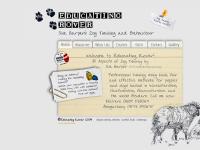 Dog training in Worcester Dog training in Worcester