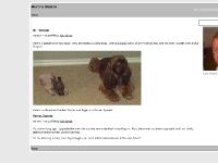 educatorsaid.com signup, My Two Dogs, Kyle Brock educatorsaid.com signup, My Two Dogs, Kyle Brock