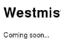 Westminster Watch Westminster Watch