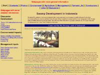 Swamp Development in Indonesia Swamp Development in Indonesia