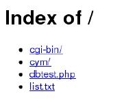 Index of /