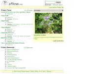 eFloras.org Home eFloras.org Home