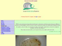  Topics from recent years, Links