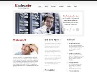  Flex Protective Services, Flex Depot Services, Professional Services