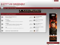 Egyptian Arabian Horse Breeders Egyptian Arabian Horse Breeders