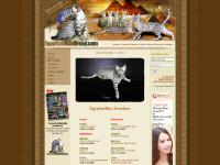 Ocicats, Safaris, Savannahs, Serengetis  Ocicats, Safaris, Savannahs, Serengetis