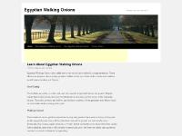 Egyptian Walking Onions | Walking Onion Marching Band