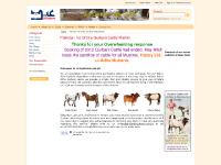 eidqurbani.com.pk Online Qurbani, bakra online, qurbani eidqurbani.com.pk Online Qurbani, bakra online, qurbani
