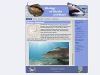 liten elasmo-research.org skärmbild liten elasmo-research.org skärmbild