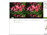 statistik för eliann - eliann.se statistik för eliann - eliann.se