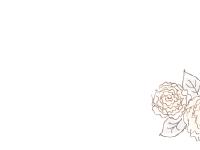 Elizabeth Anne Designs - The Wedding Blog
