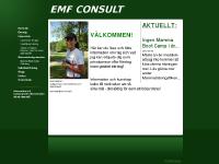 liten emfconsult.se skärmbild liten emfconsult.se skärmbild