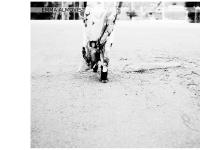 emmaalmqvist.se EMMA ALMQVIST, PORTFOLIO