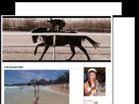 liten emmjoh.blogg.se skärmbild liten emmjoh.blogg.se skärmbild