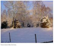 Välkommen till Enåsen Välkommen till Enåsen