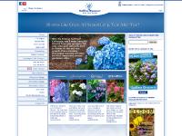 The First hydrangeas that bloom all season long | Endless Summer® Collection