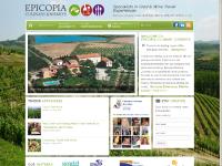  Harold in Italy, Explore Culinary Asia, Find an experience , Hey Ladies! Take a look at this!