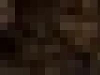 Välkomna till Kennel Birkabus, sunda taxar i hemmamiljö! Välkomna till Kennel Birkabus, sunda taxar i hemmamiljö!