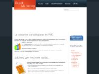 Esprit marketing, la puissance du Marketing au service des PME. Esprit marketing, la puissance du Marketing au service des PME.