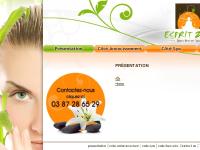 espritzen-sarreguemines.com