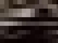 Festival de l'Etang d'Art 2011 Festival de l'Etang d'Art 2011