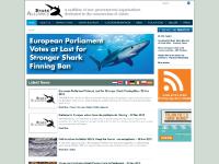 europeansharkweek.se The Shark Alliance, shark, sharks europeansharkweek.se The Shark Alliance, shark, sharks