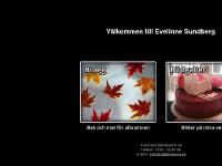 liten evelinne.se skärmbild liten evelinne.se skärmbild