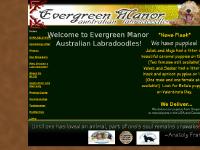  cute doodles, labradoodle breeders in the usa