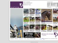 everhorse.se Stall och stuterier, Läs om hingstar, Hästar till salu everhorse.se Stall och stuterier, Läs om hingstar, Hästar till salu