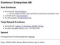 liten evertsson.se skärmbild