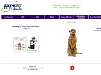 Expert-Cell Télécom - Détaillant autorisé TELUS