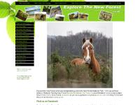 Explore the New Forest, discover the best the New Forest Offers Explore the New Forest, discover the best the New Forest Offers